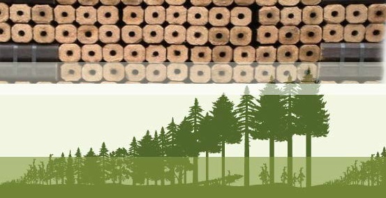 wood fuels made form sustainable forests